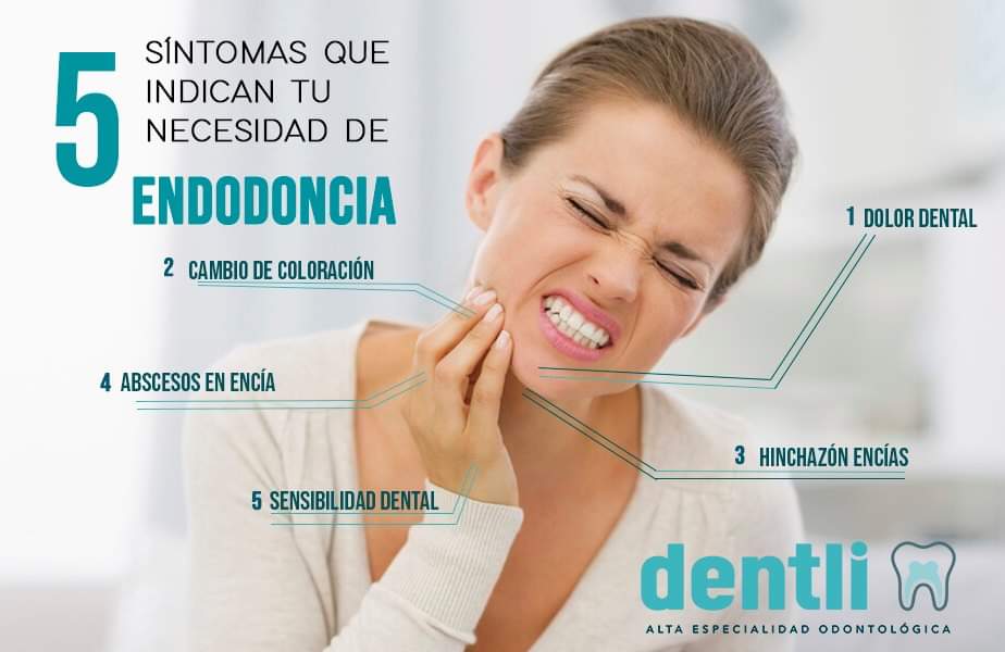 Endodoncia Nuestros Servicios Dentli Cl Nica Dental En Hermosillo