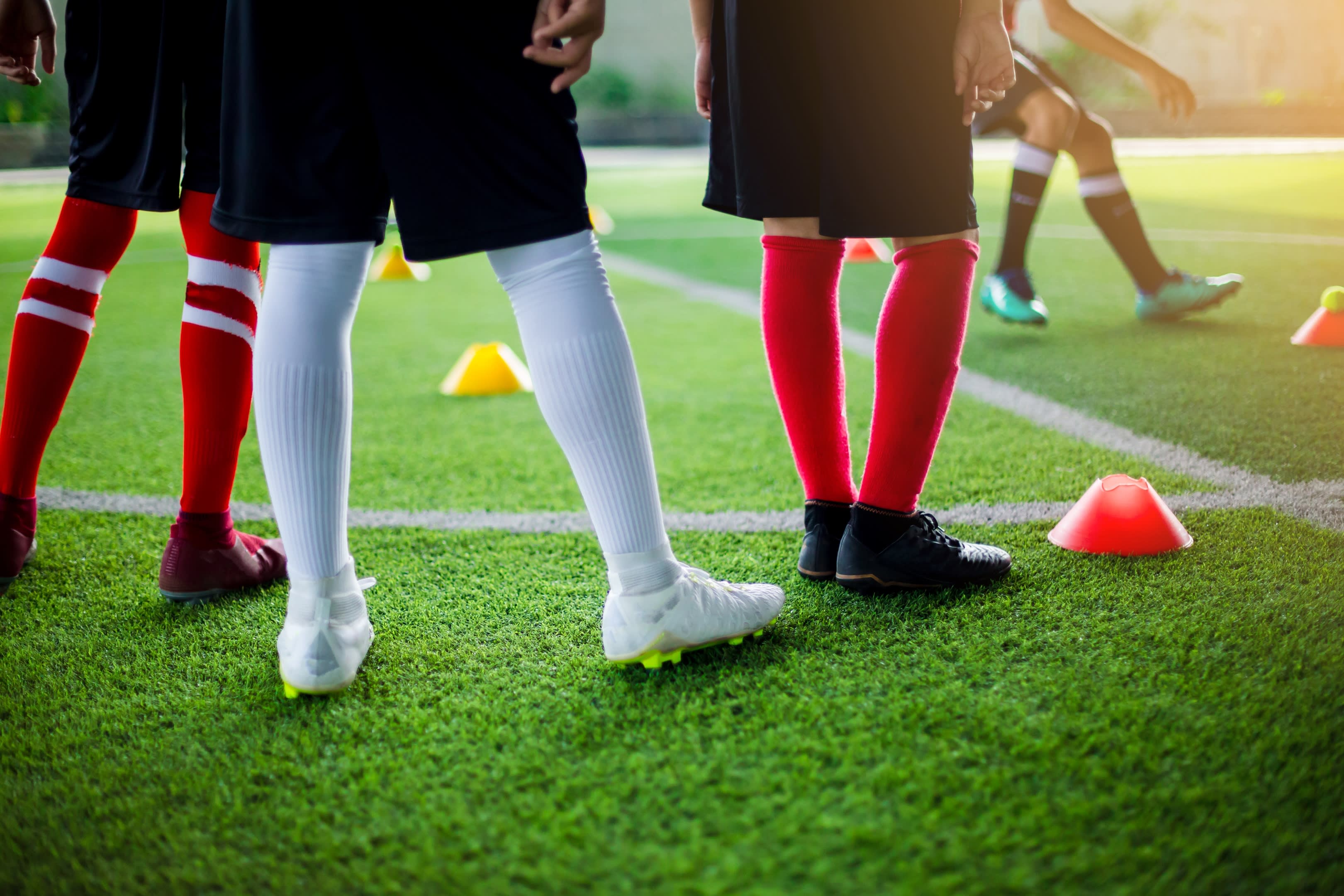 Pasto Para Canchas De Futbol Nuestras Opciones Pastos Sint Ticos