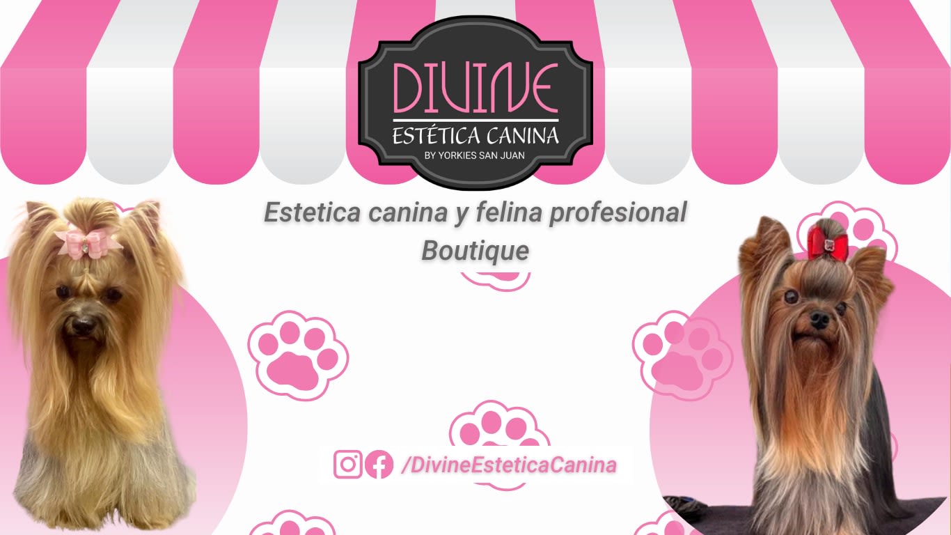 Divine Estética Canina Spa para mascotas en Monterrey