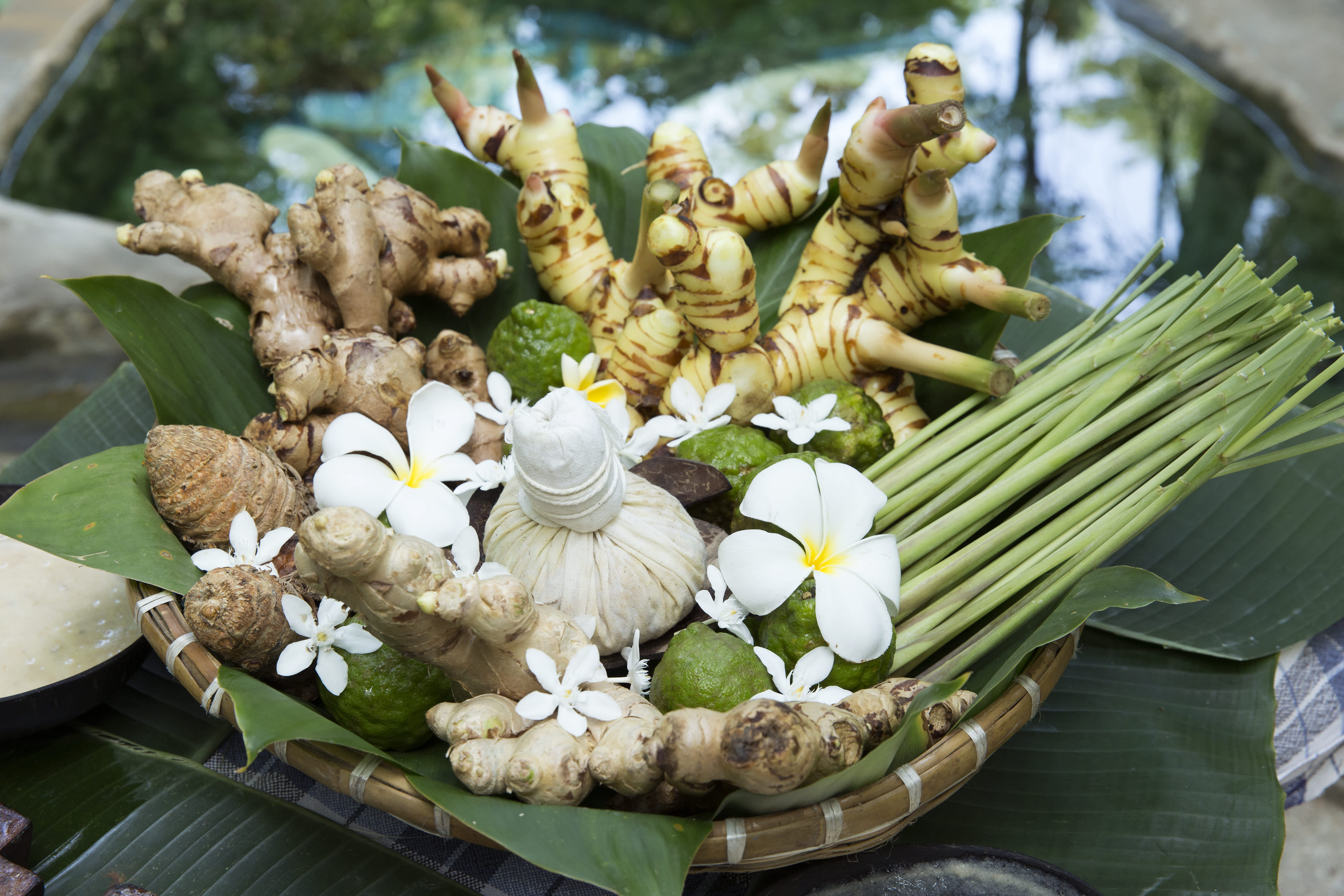 My Healthy Bharat Holistic Medicine Clinic New Delhi