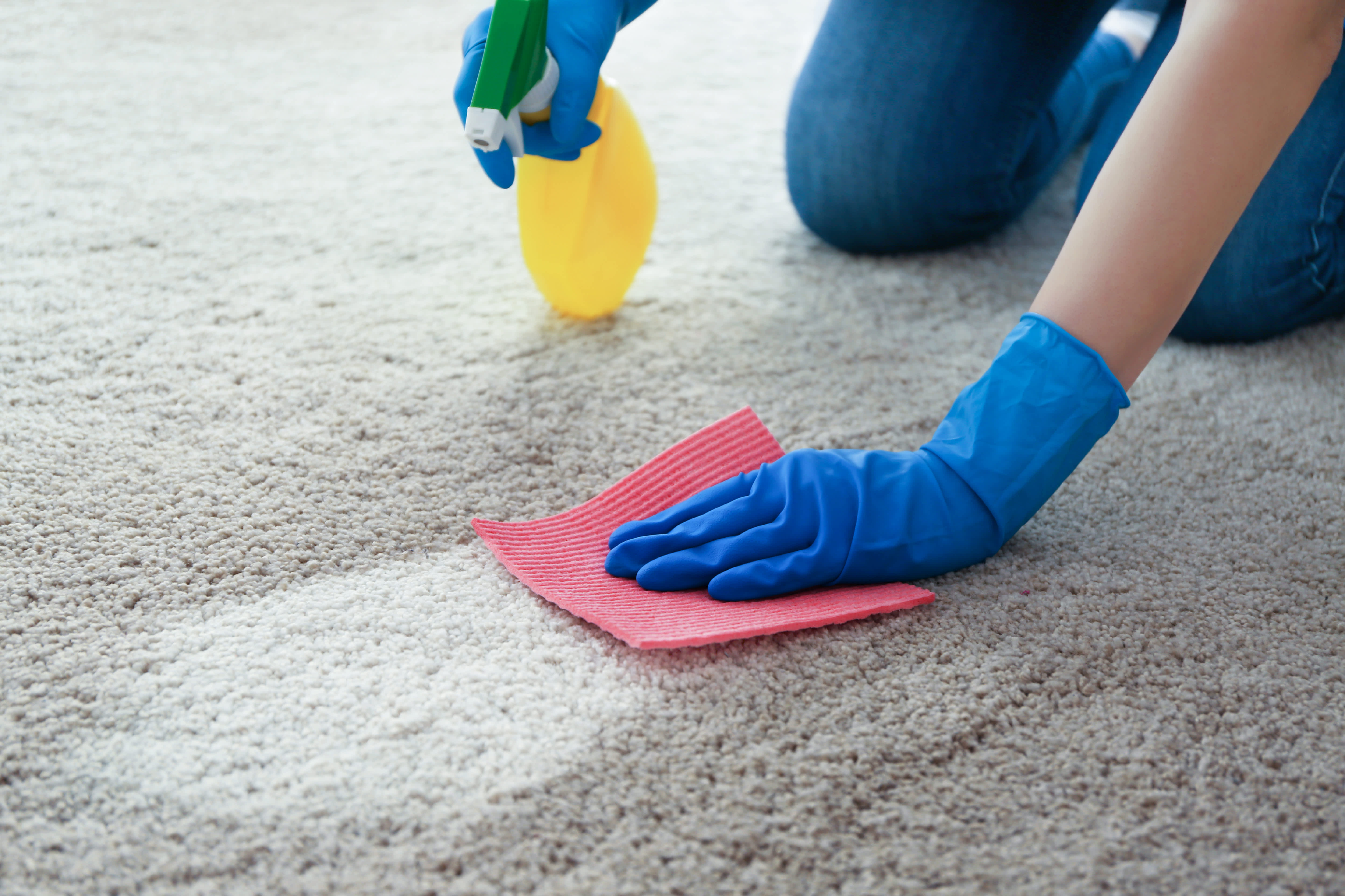 Ace Carpet Cleaning Carpet Cleaner Bakersfield, CA