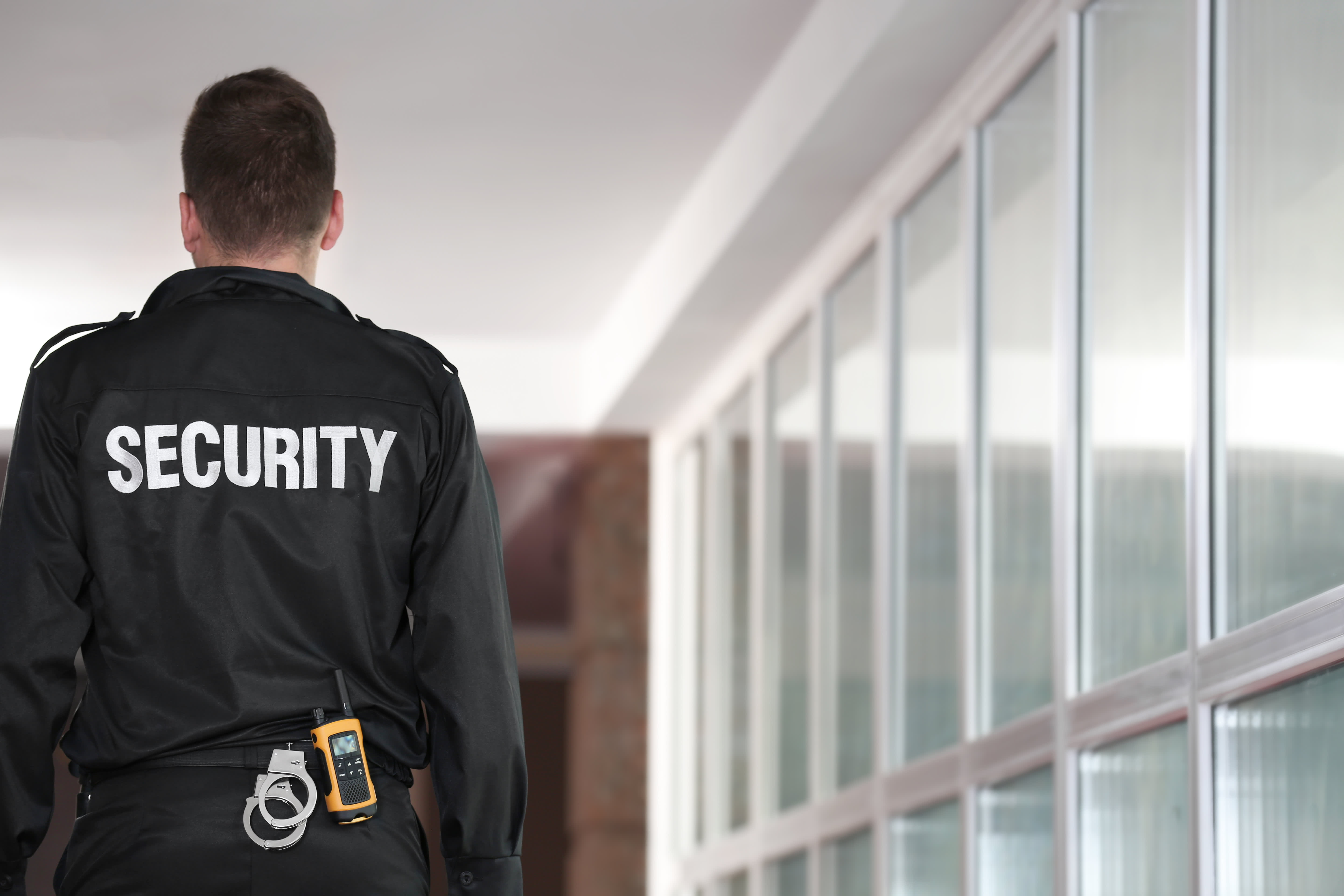 Охранники стоят. Security man Home. Security back image. Royal Security man. Security man v3ctor.