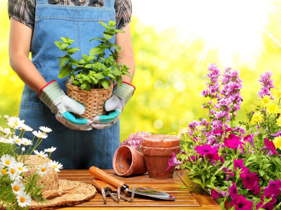 Sunflowers Florist Best flower services in London