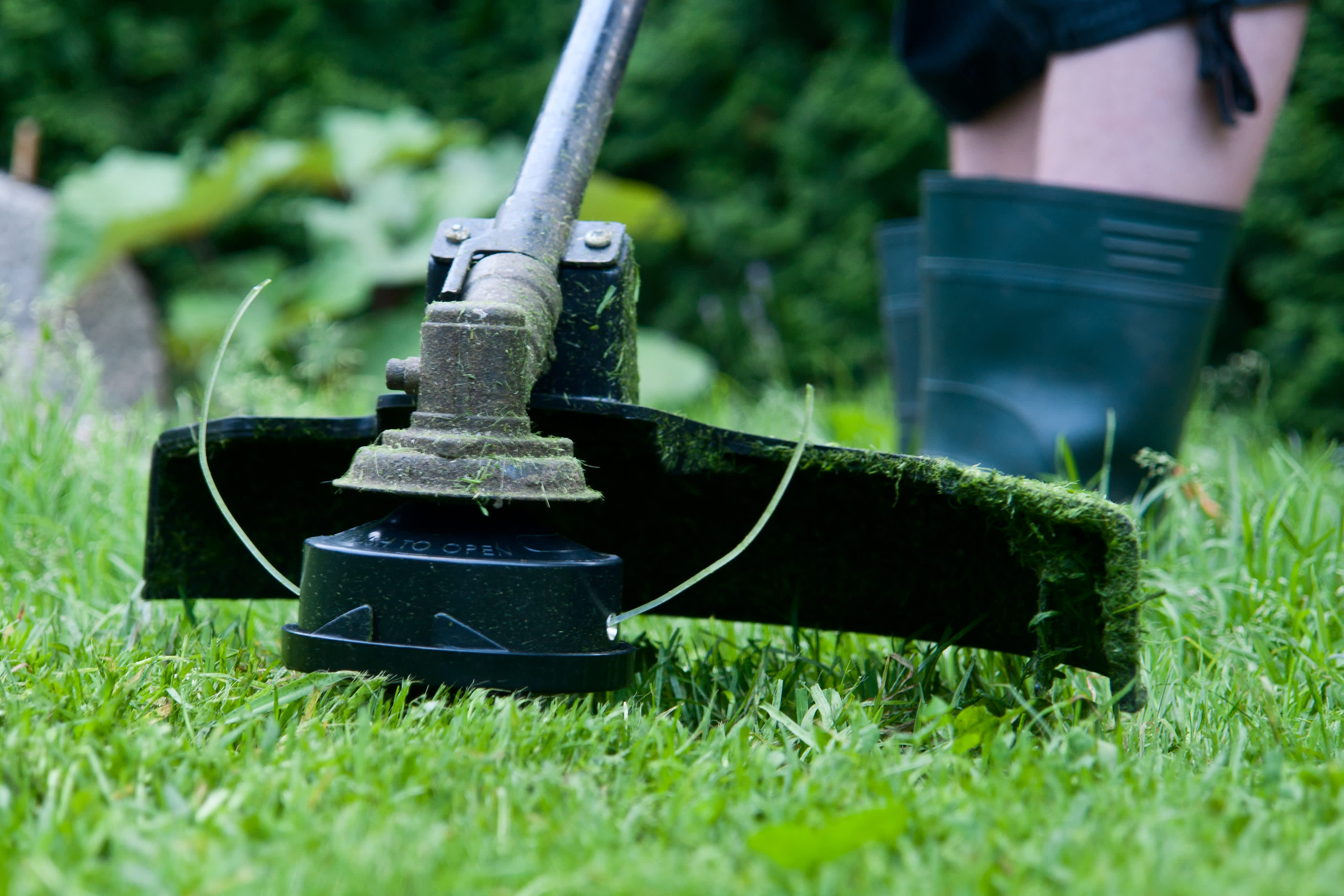 Pro Monthly Bi Weekly Lawn Care Mow Town Lawn Care Clean Out 