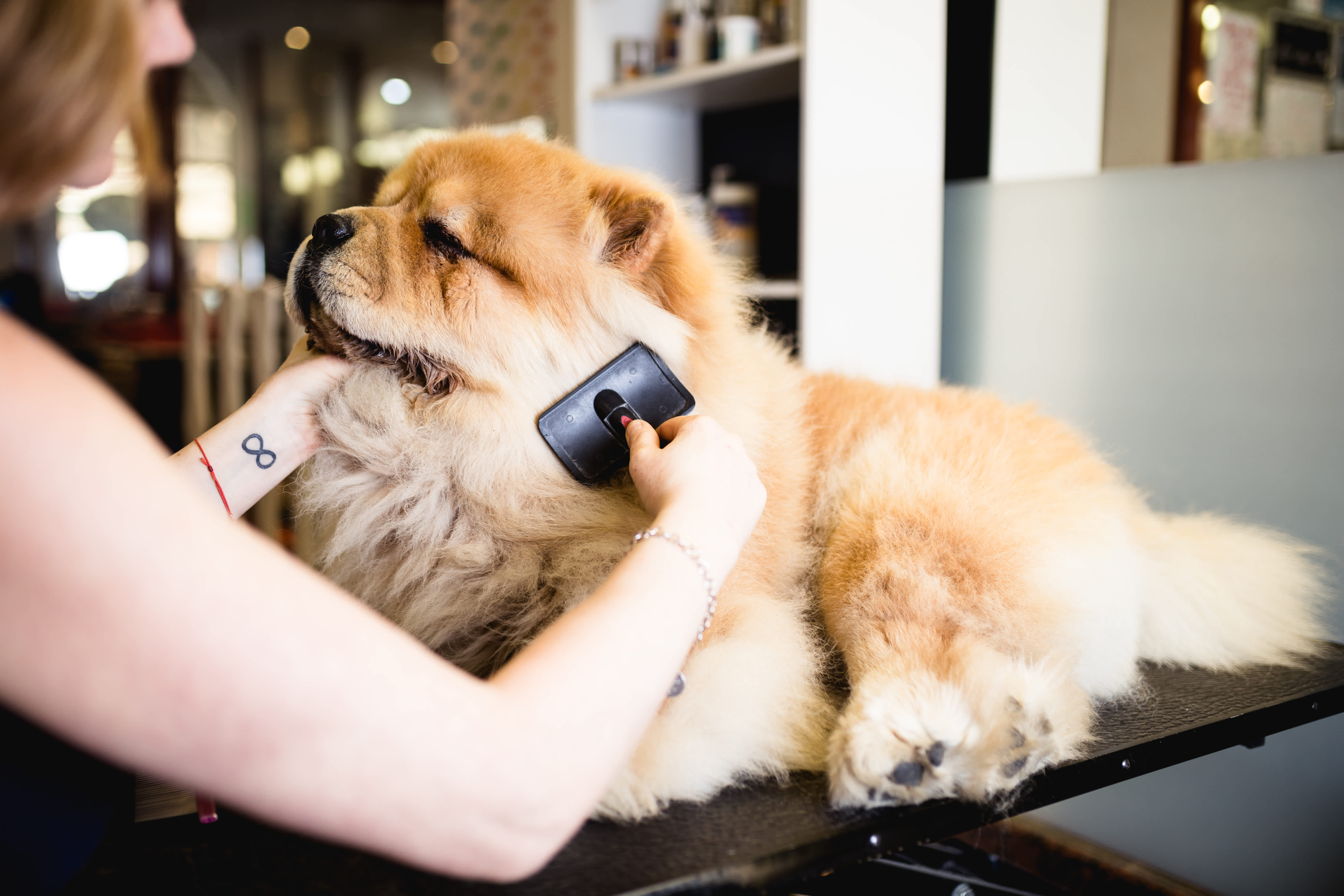 Brushing fur