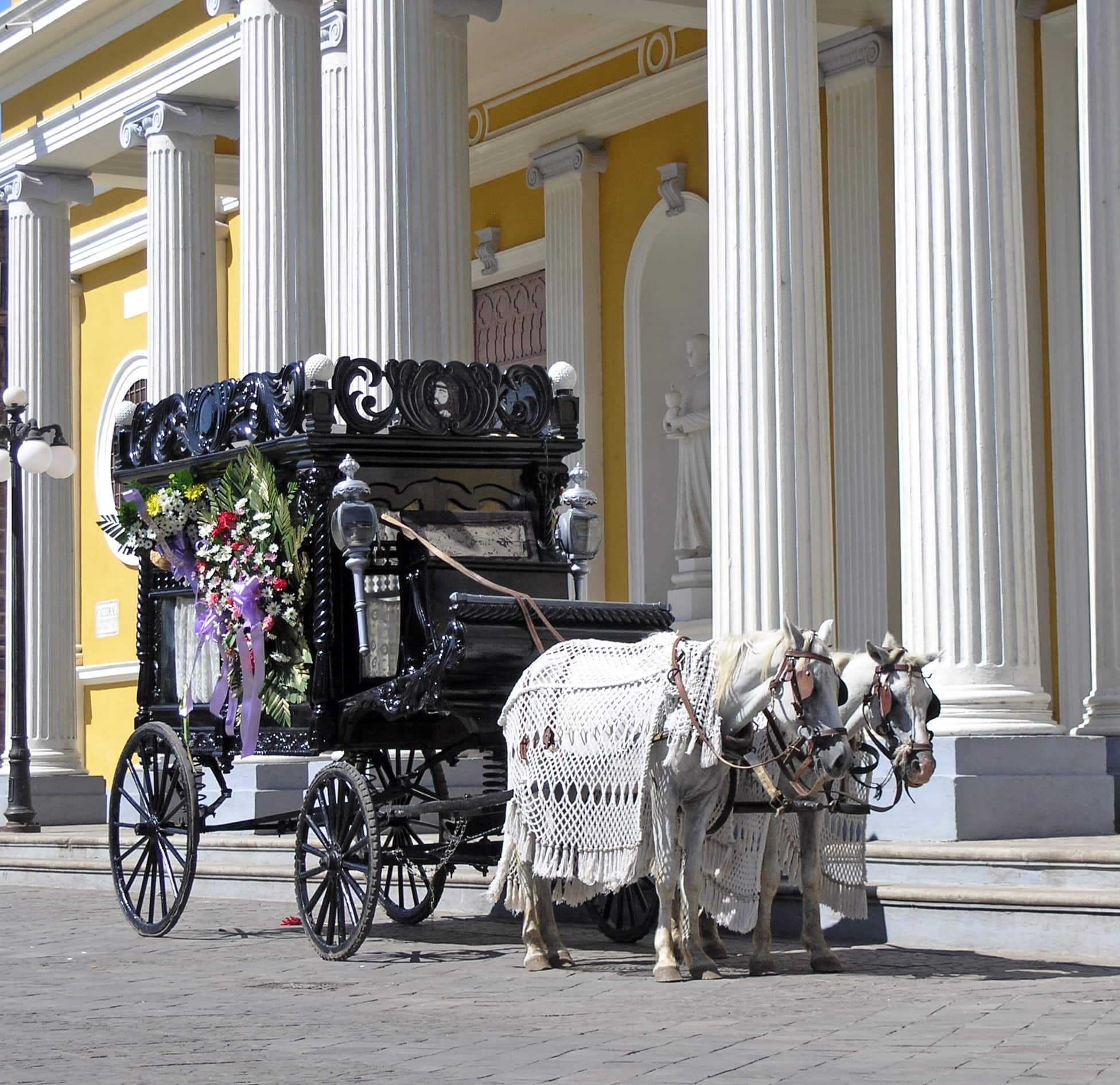 Funerals White Dove Releases On So Cal White Dove Riverside White