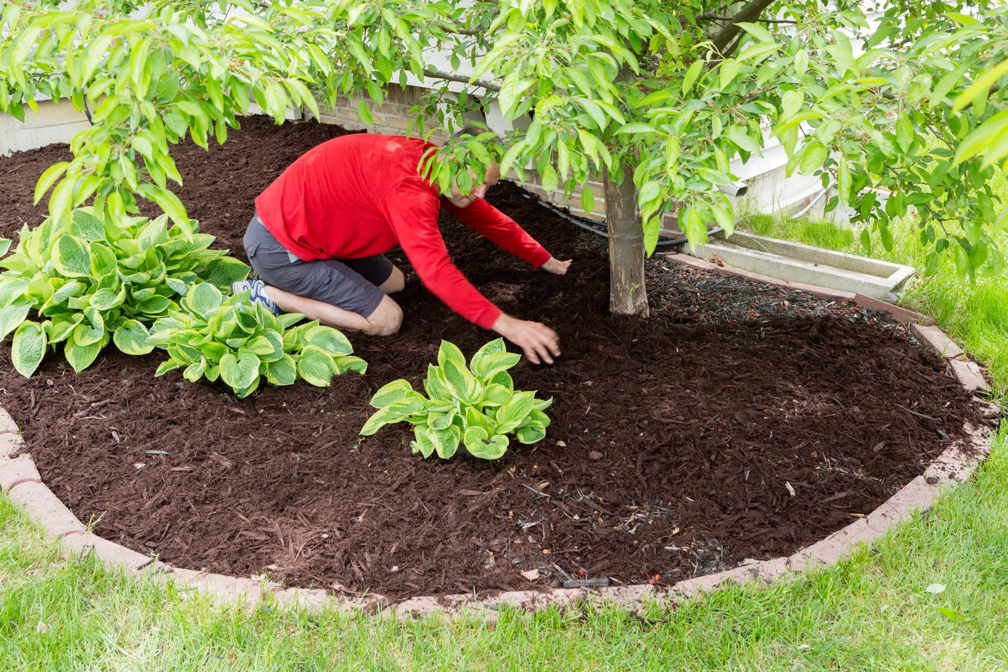 Mulching Landscaping Oakdale Landscaping Landscaper in San Francisco