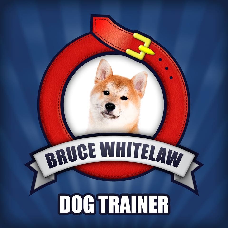 Bruce Whitelaw - Dog Trainer