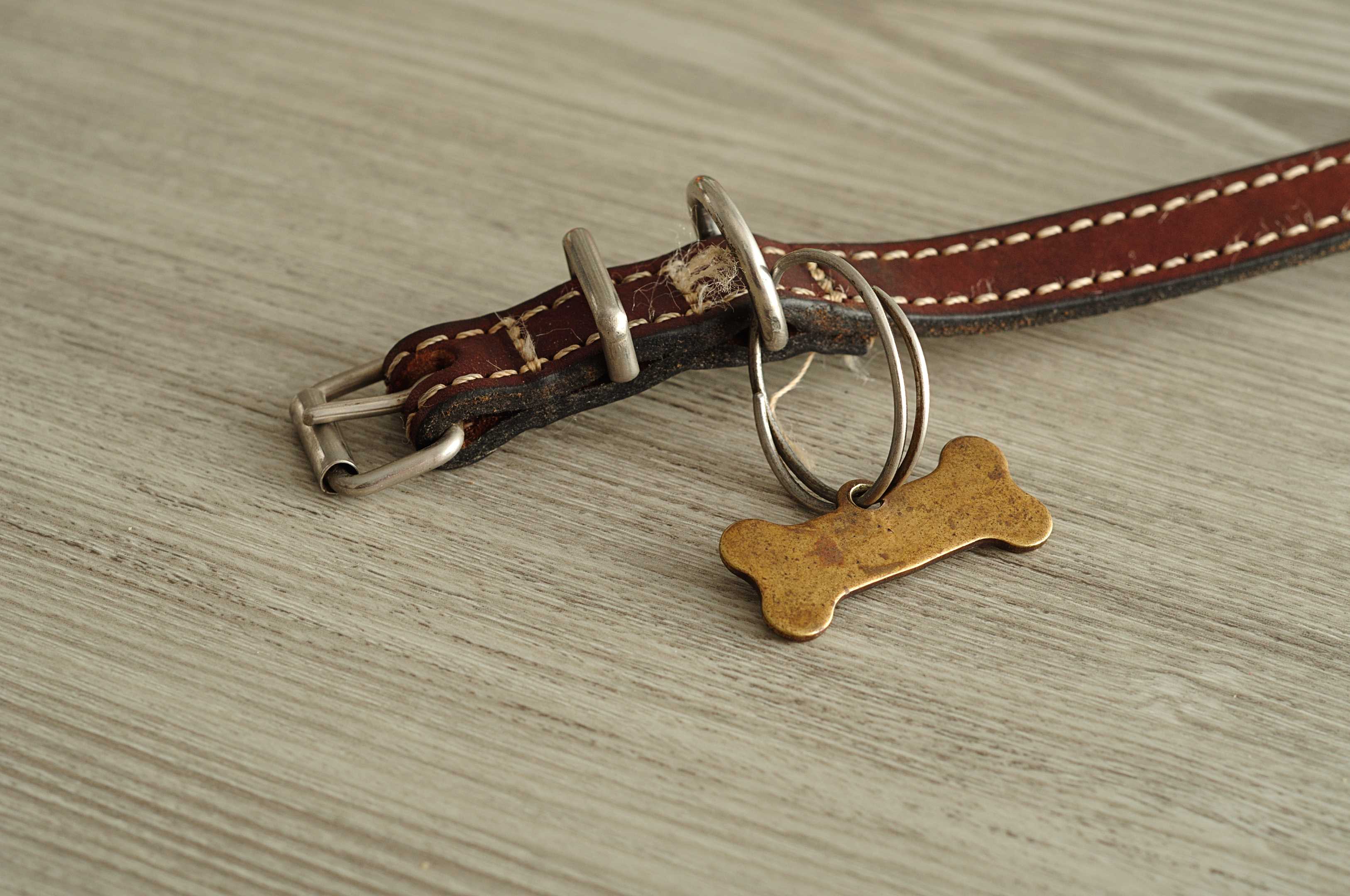 All Pet Supplies Springfield Missouri All Pet Supplies Home Facebook