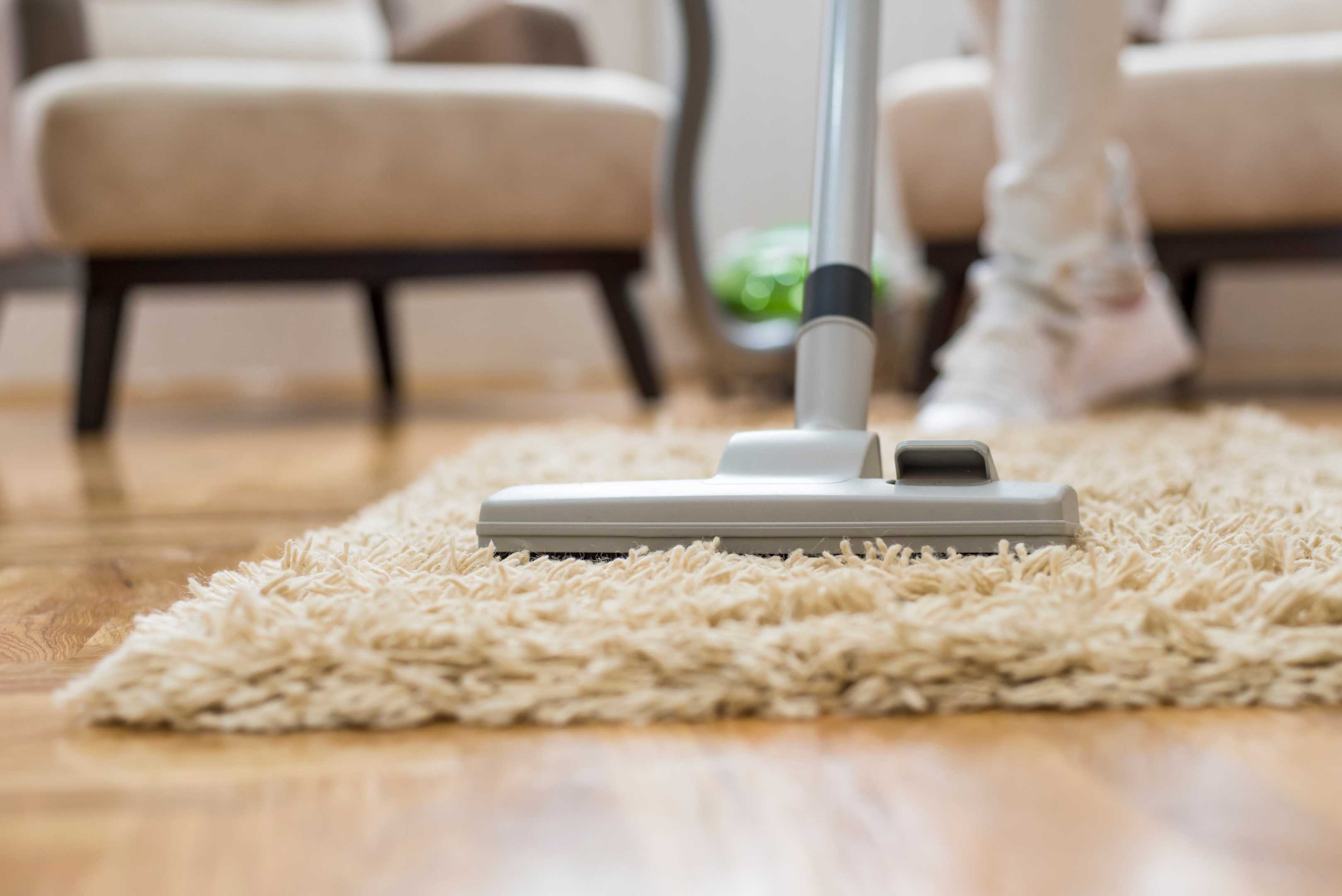 Janz Carpet Cleaning LLC Carpet Cleaner in Philadelphia