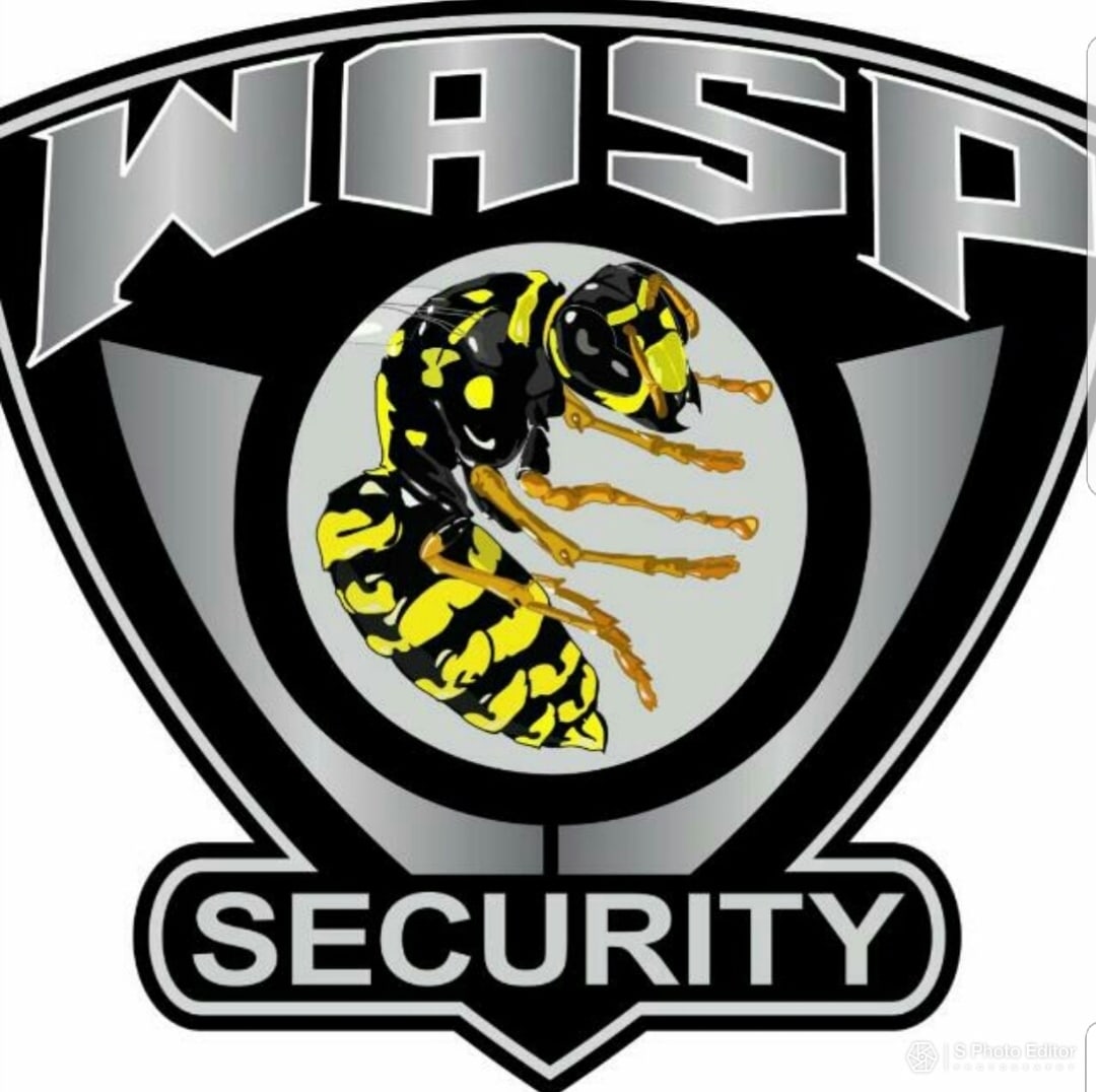 Wasp Security Services Ltd