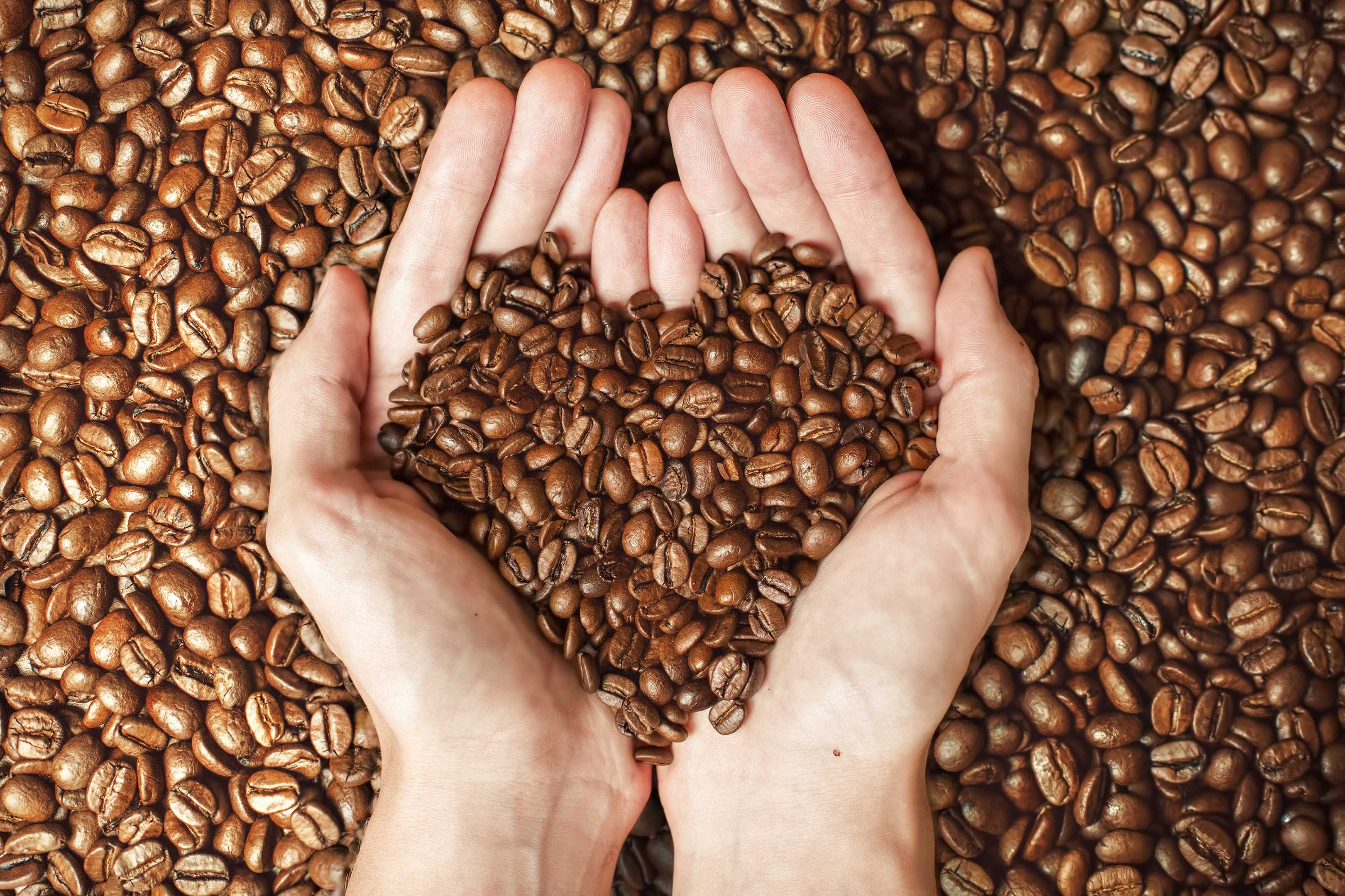 Brown Bag Brew