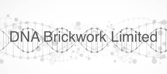 DNA Brickwork Limited
