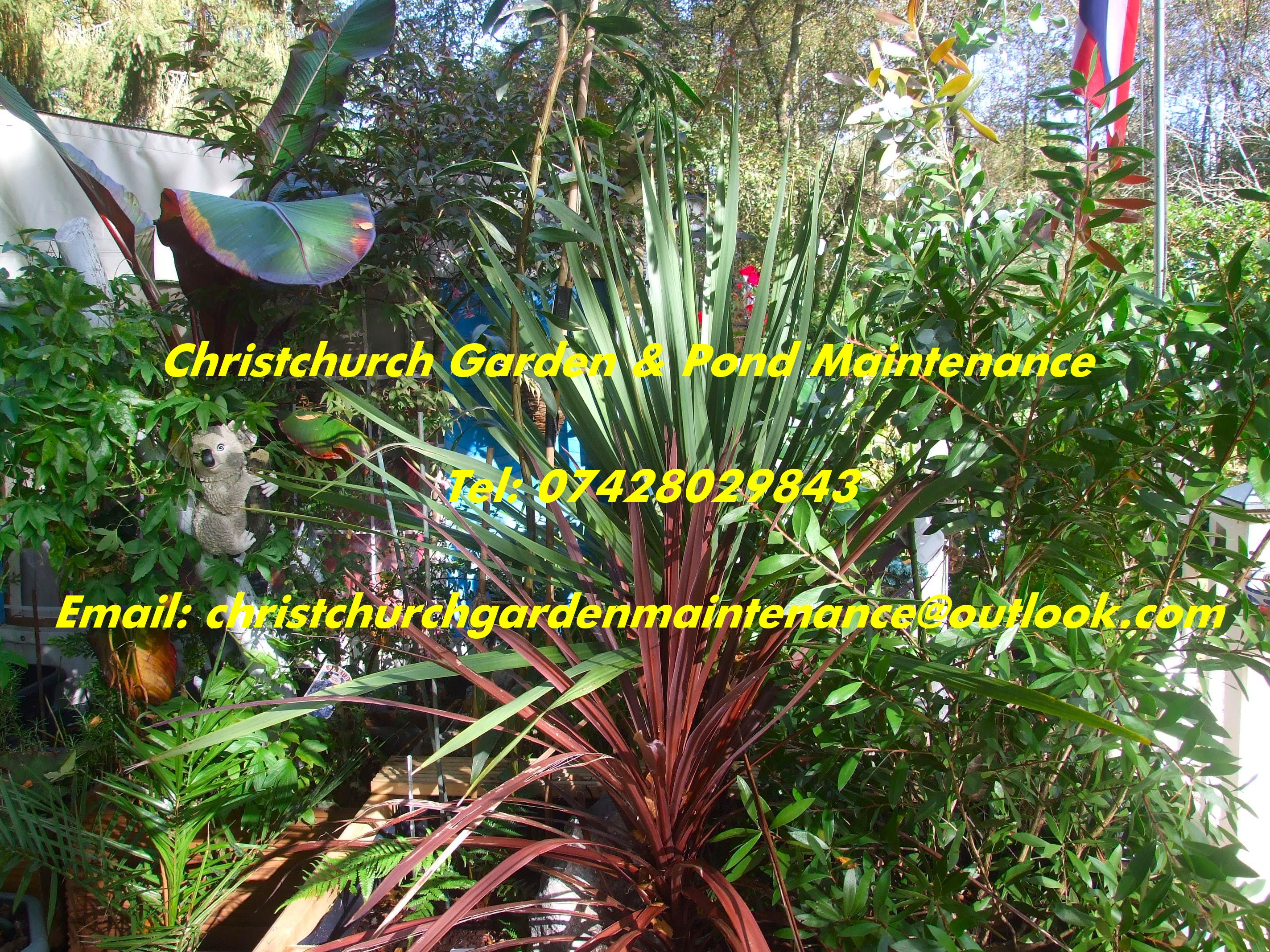 Christchurch Garden & Pond, Landscaping & Maintenance