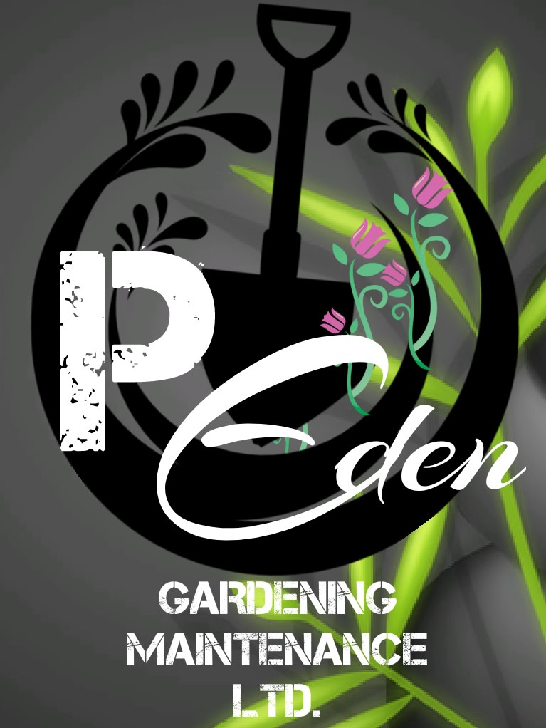P Eden Gardening Maintenance ltd