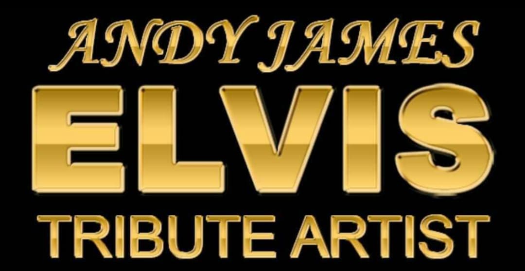 Elvis in Concert by Andy James