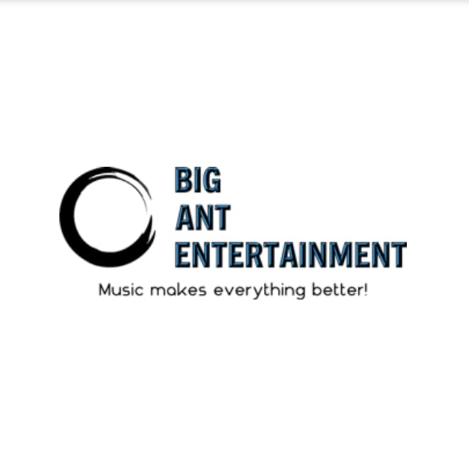 Big Ant Entertainment