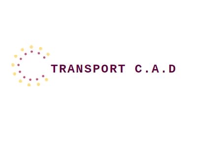 TransportCAD Swept Path Analysis