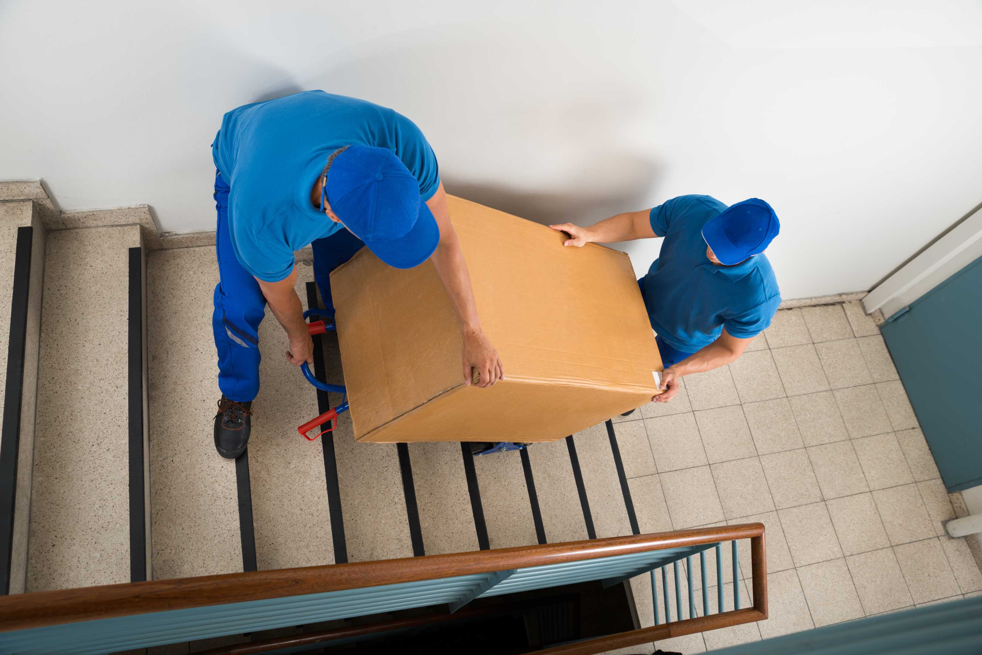 Maxwell Trans Packers and Movers