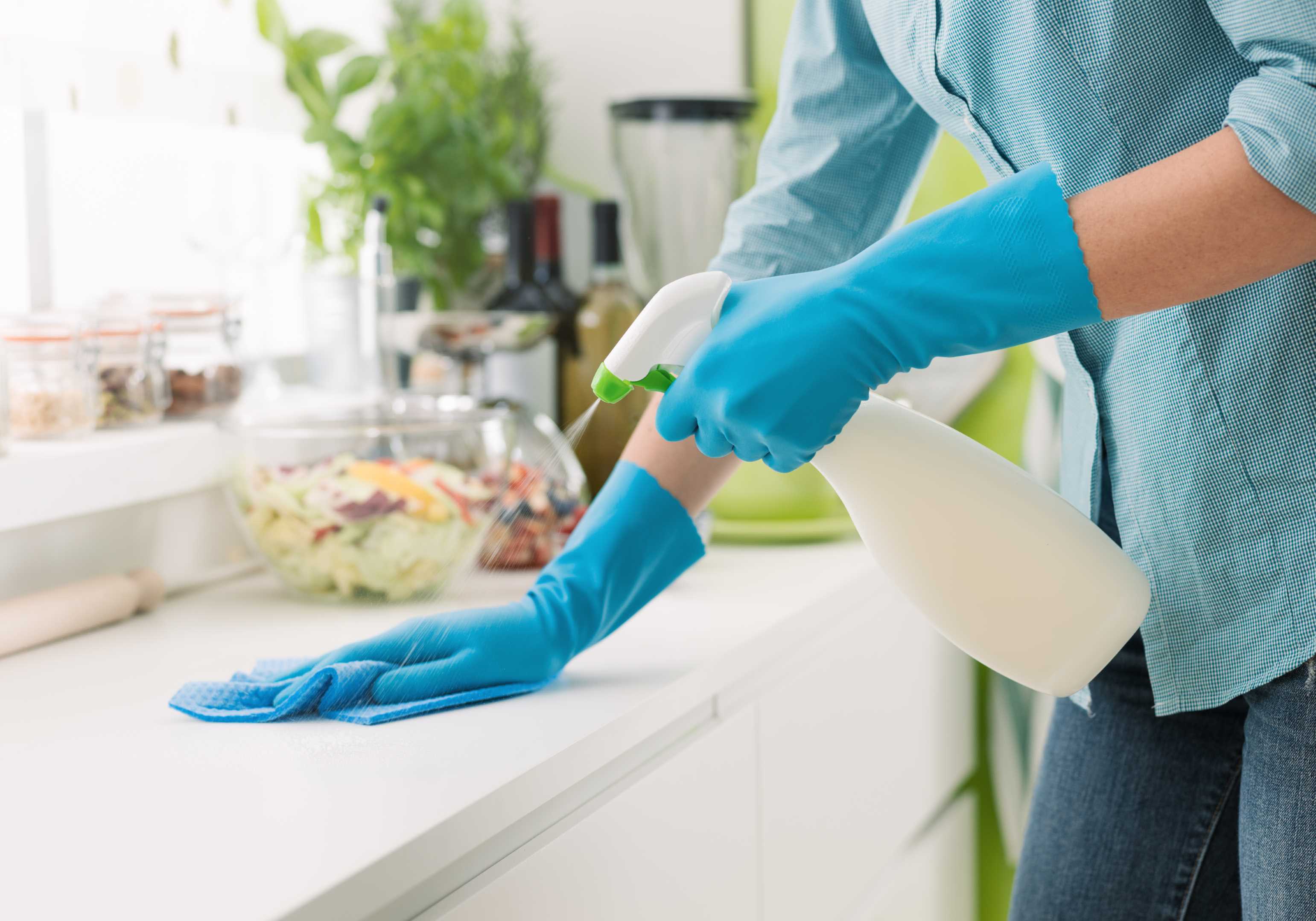 Domestic Cleaner All Aspects Cleaning