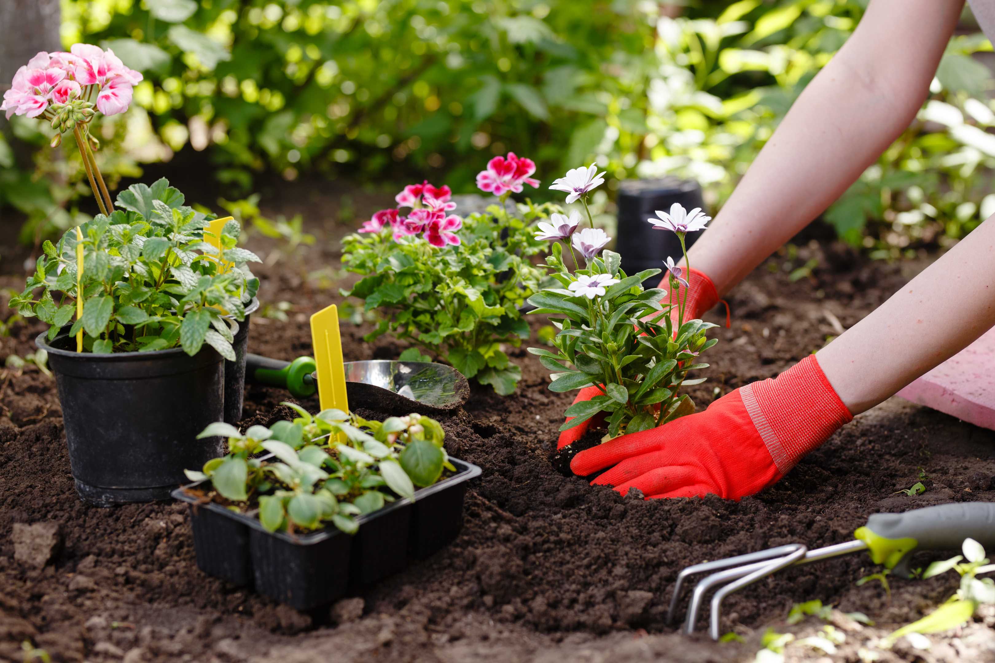 Harts Garden Services | Guildford