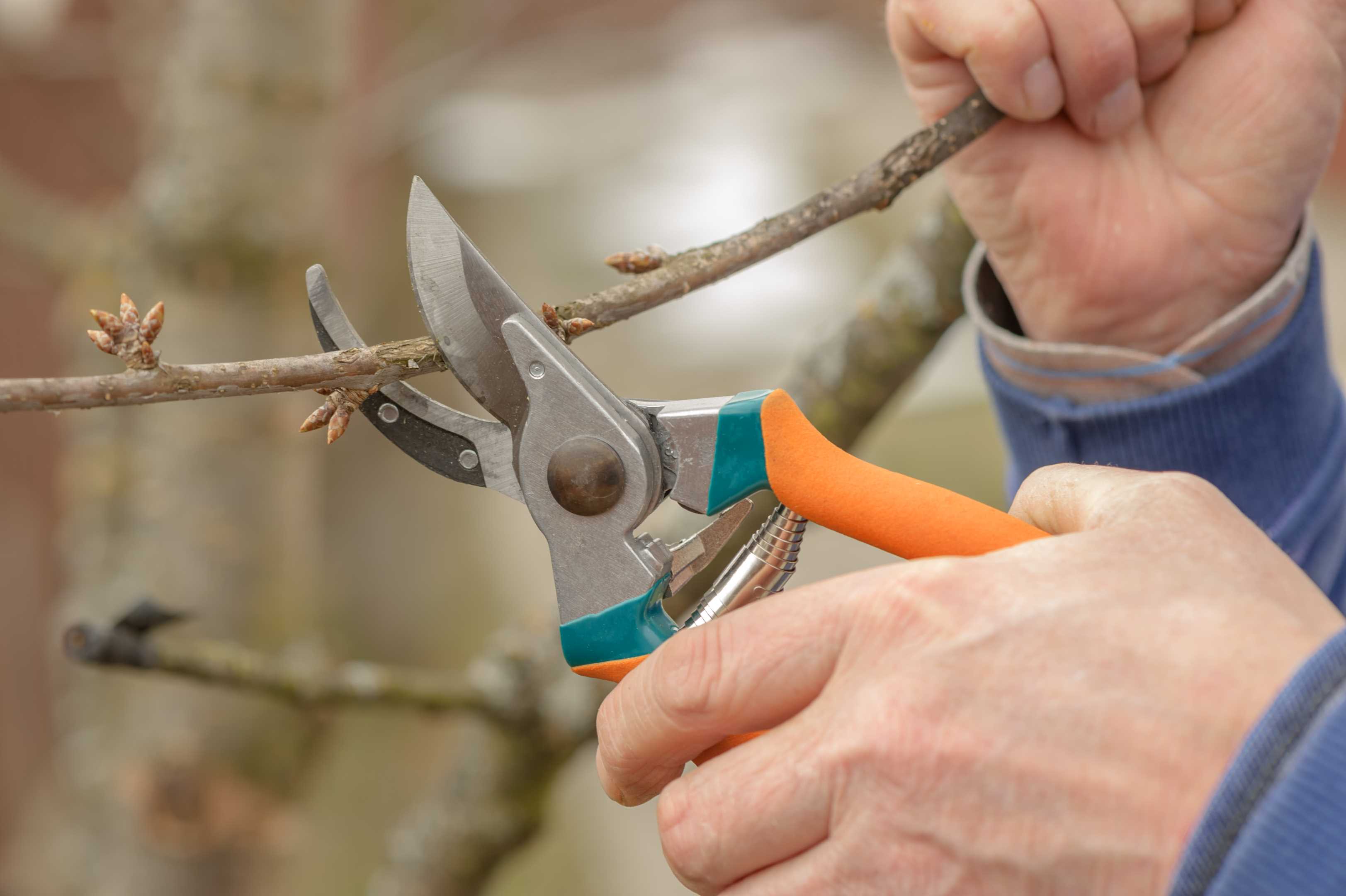 D.G. Property Management LLC Lawn Care in Marietta