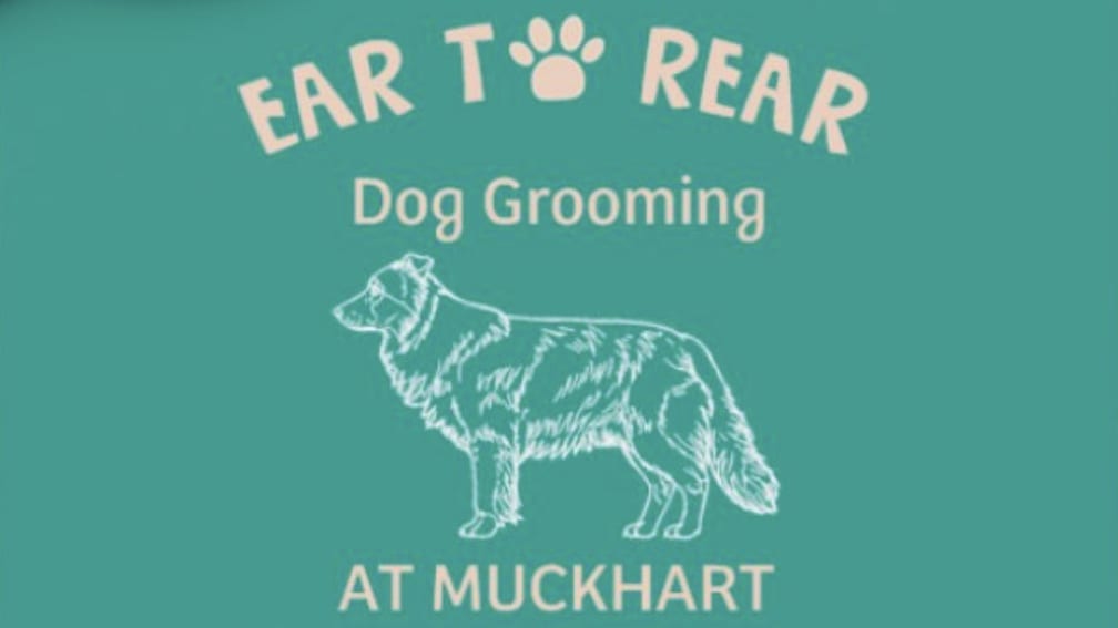 Ear To Rear Dog Grooming