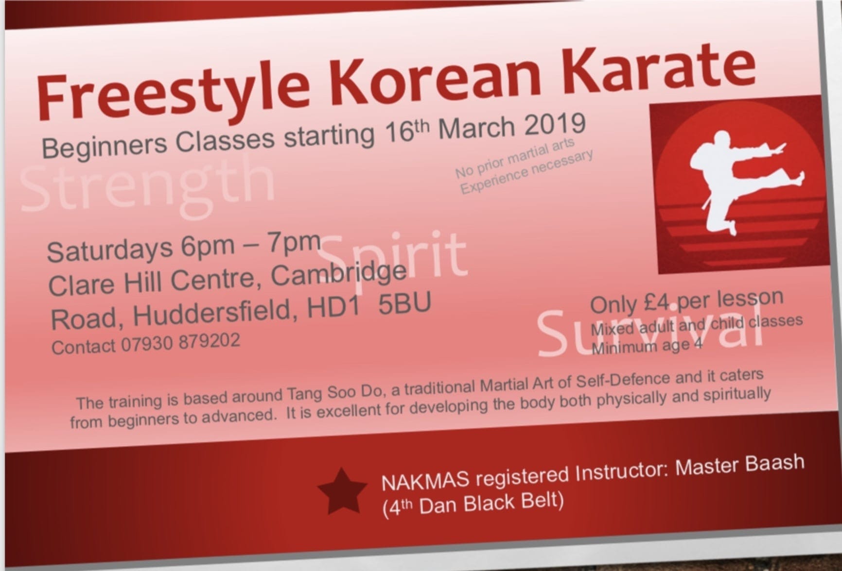 Freestyle Korean Karate