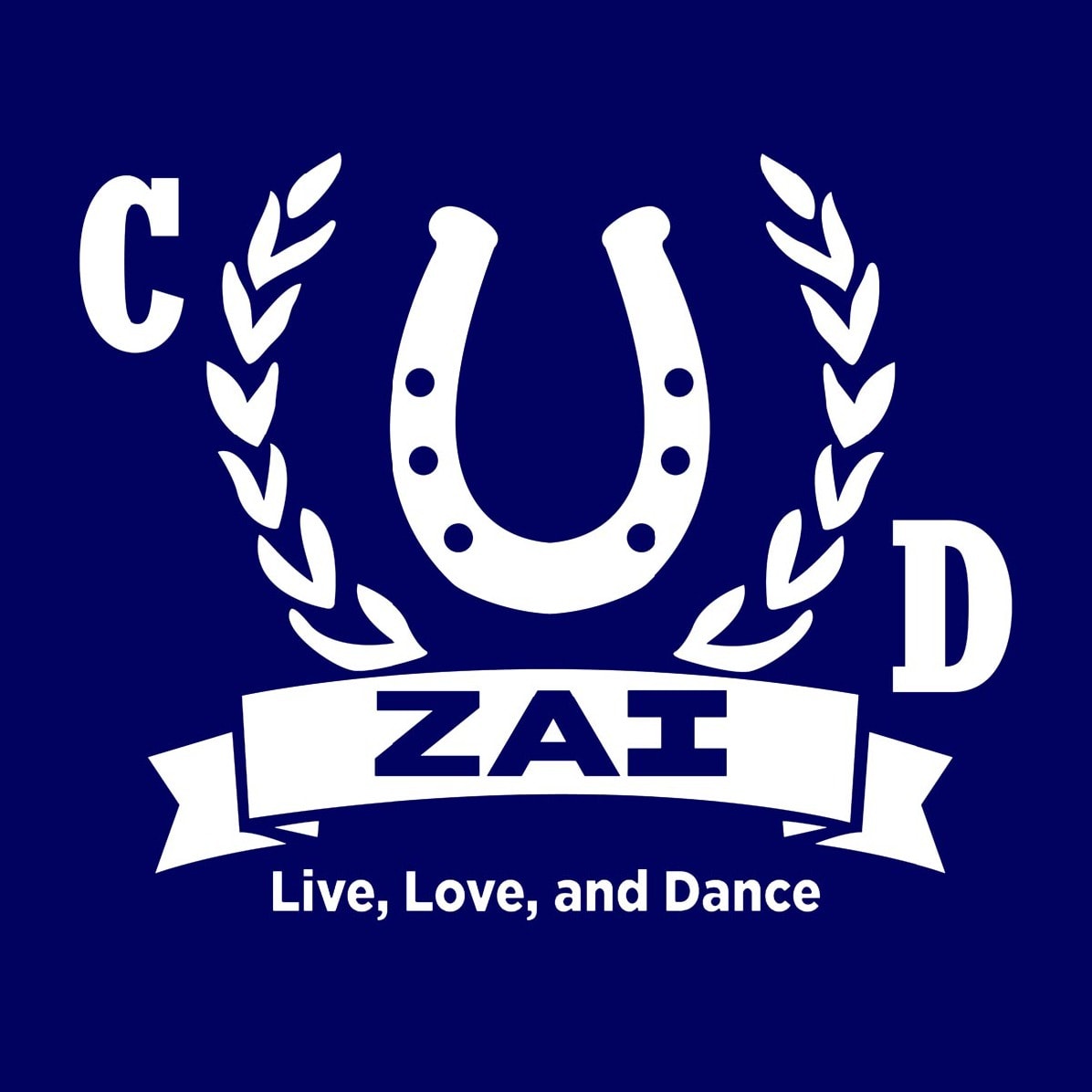 Country Dance University