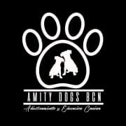 Amity Dogs Bcn - Adiestramiento y Educación Canina