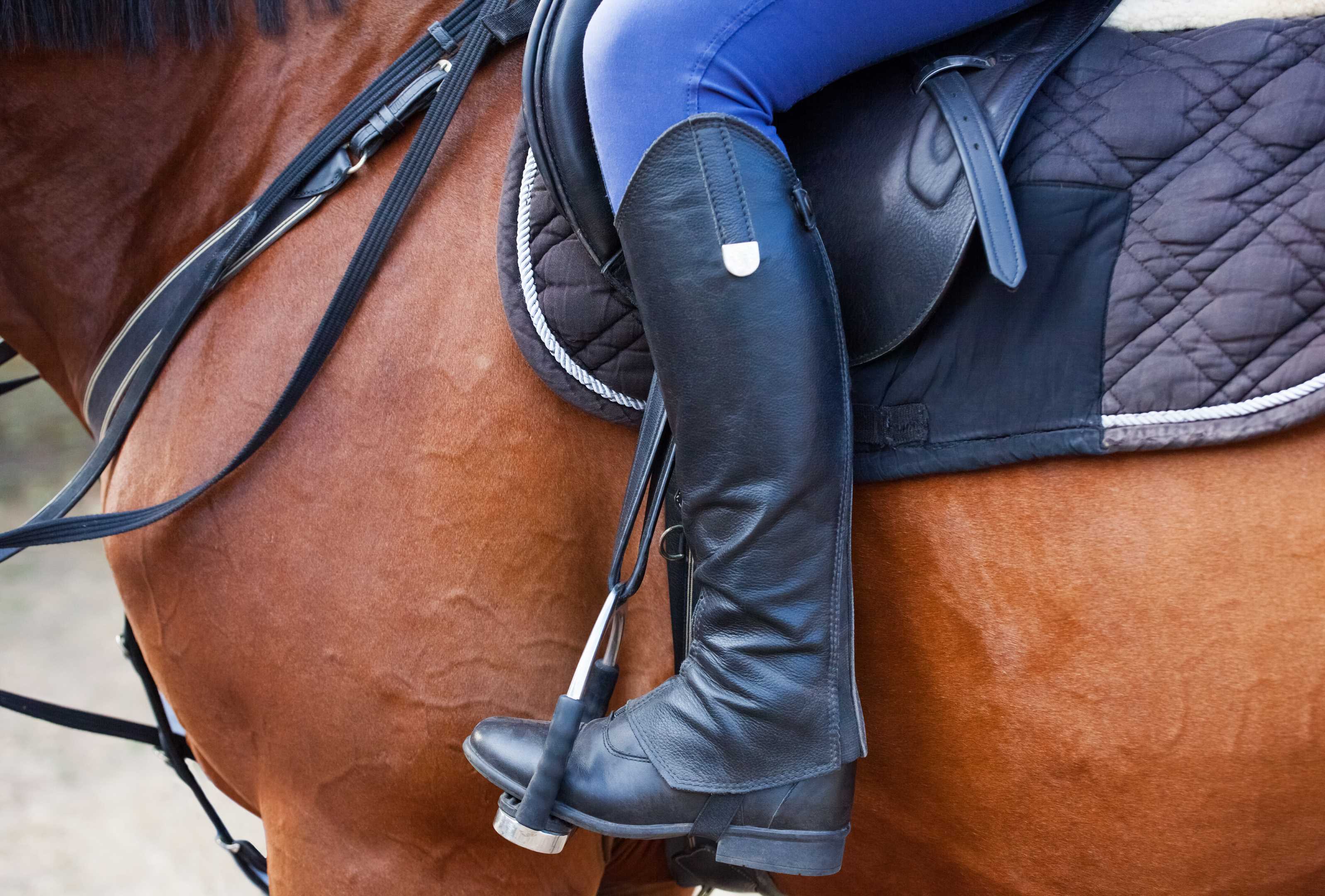 Horse Saddle & Tack Leather Goods Kanpur Leather Store Leather