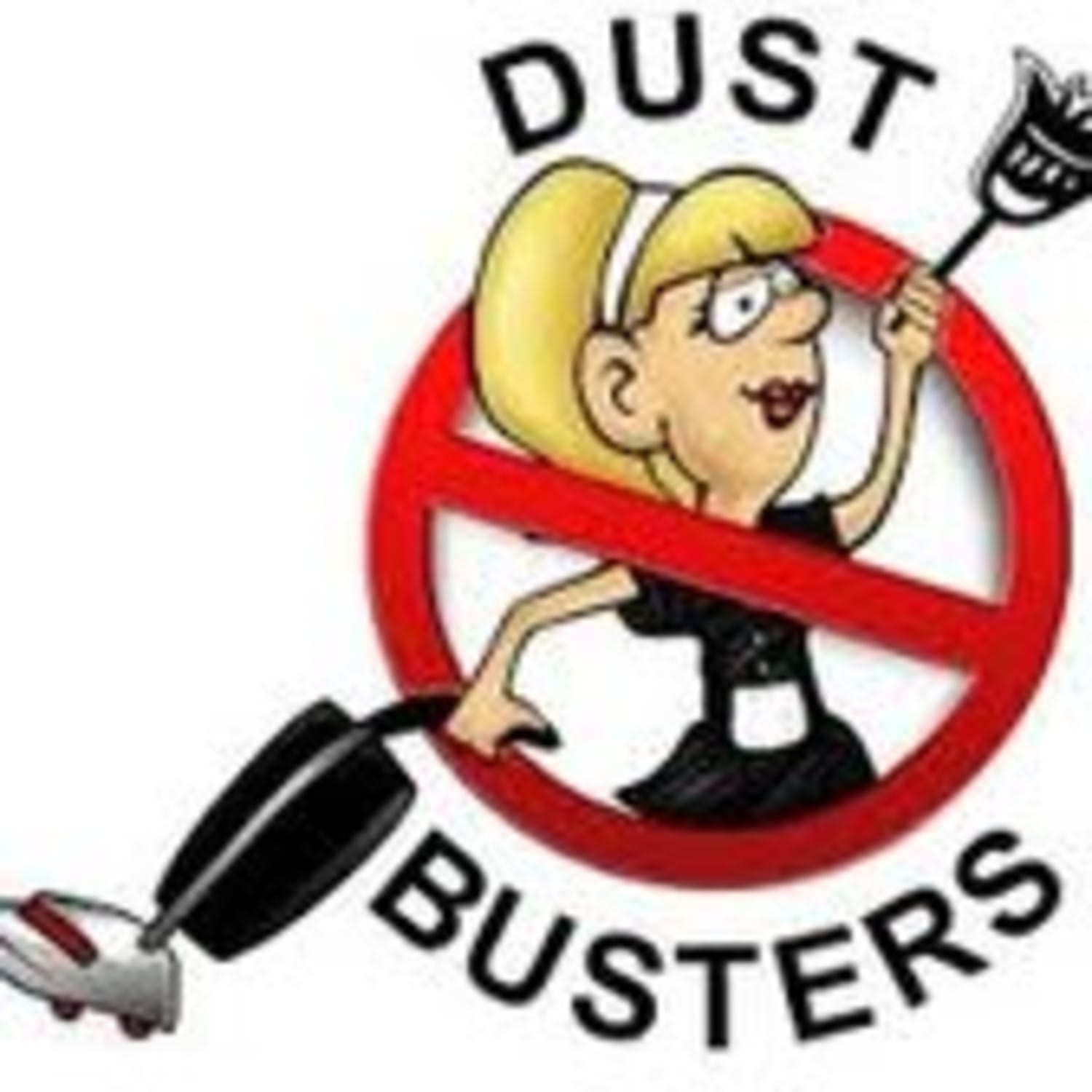 Stacey's Dust Busters