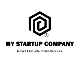 My Startup Company
