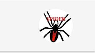Spiderboxer1