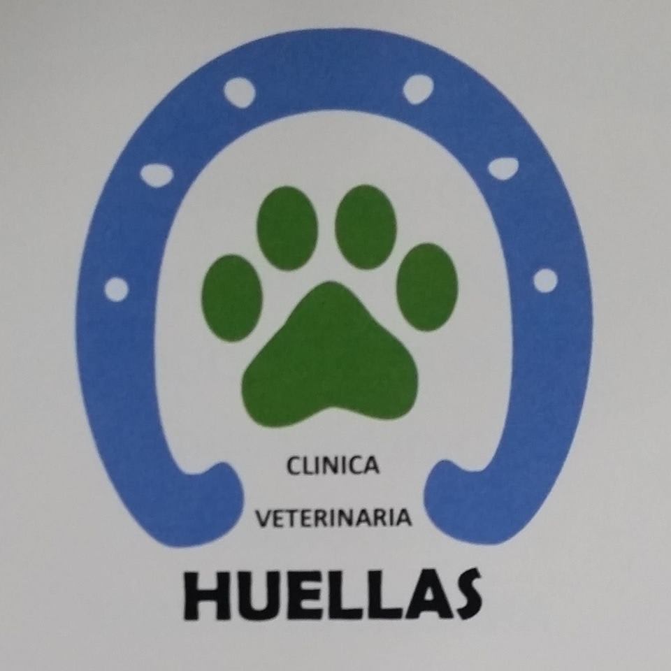 Clinica Veterinaria Huellas