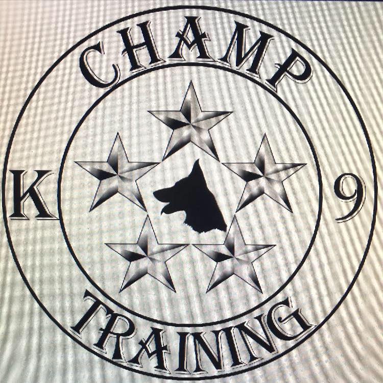 Champ K9 Training