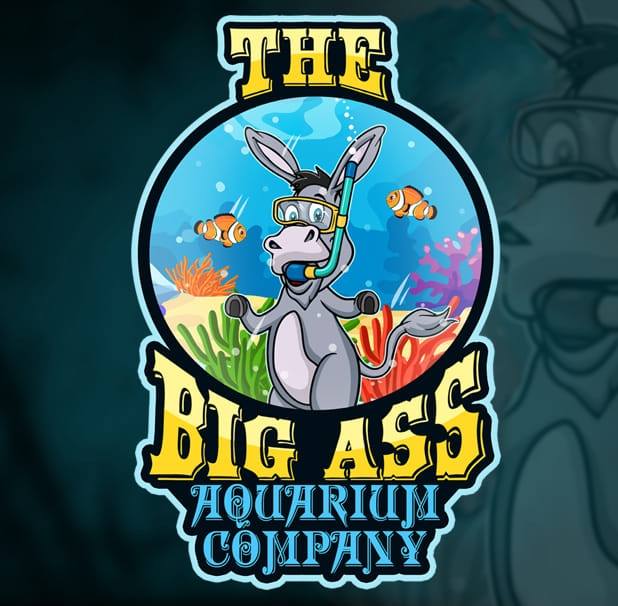 The Big  Aquarium Company Inc.