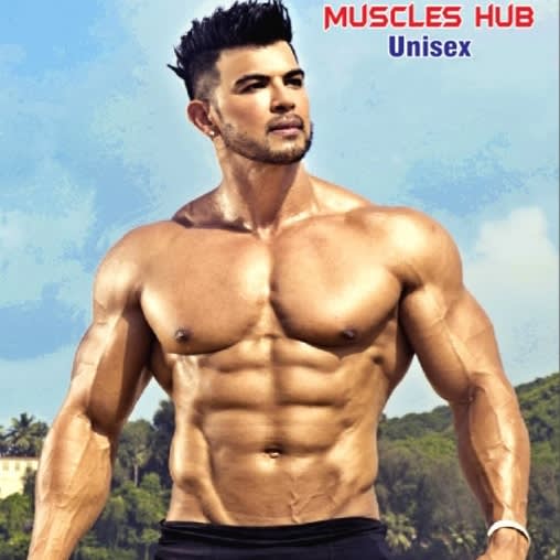 The Muscles Hub