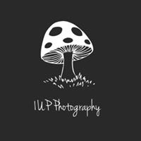 1UP Photography