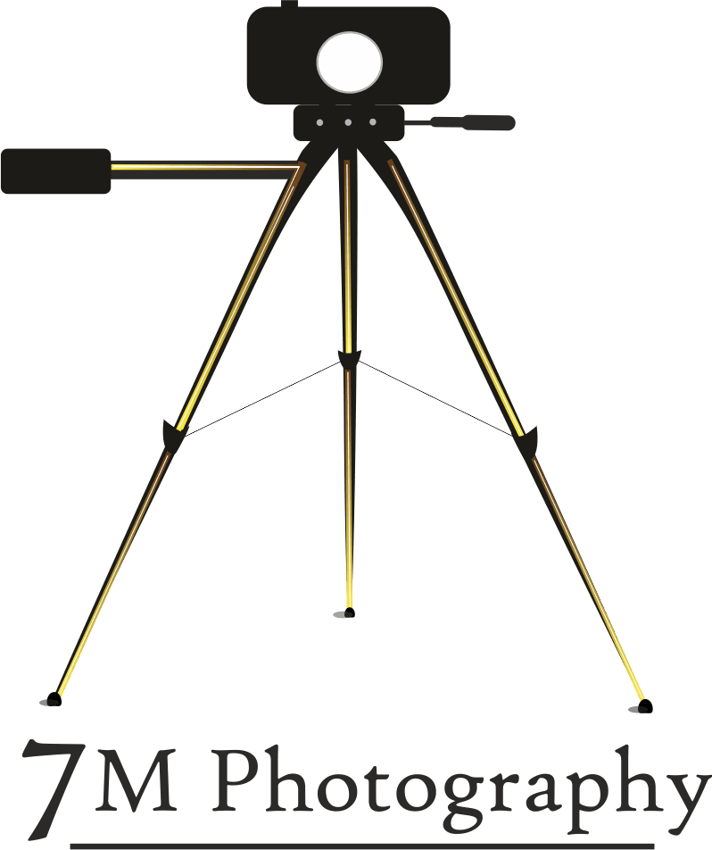 7m photography