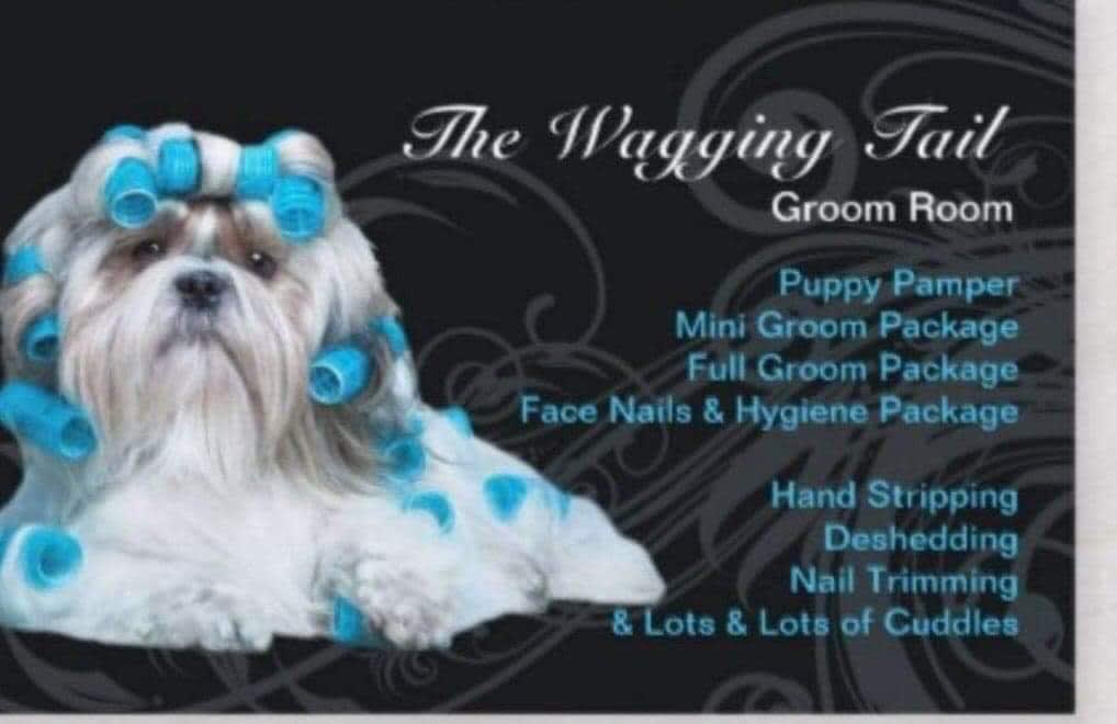 Puppy Pamper Dog Grooming Dog Groomer The Wagging Tail Groom