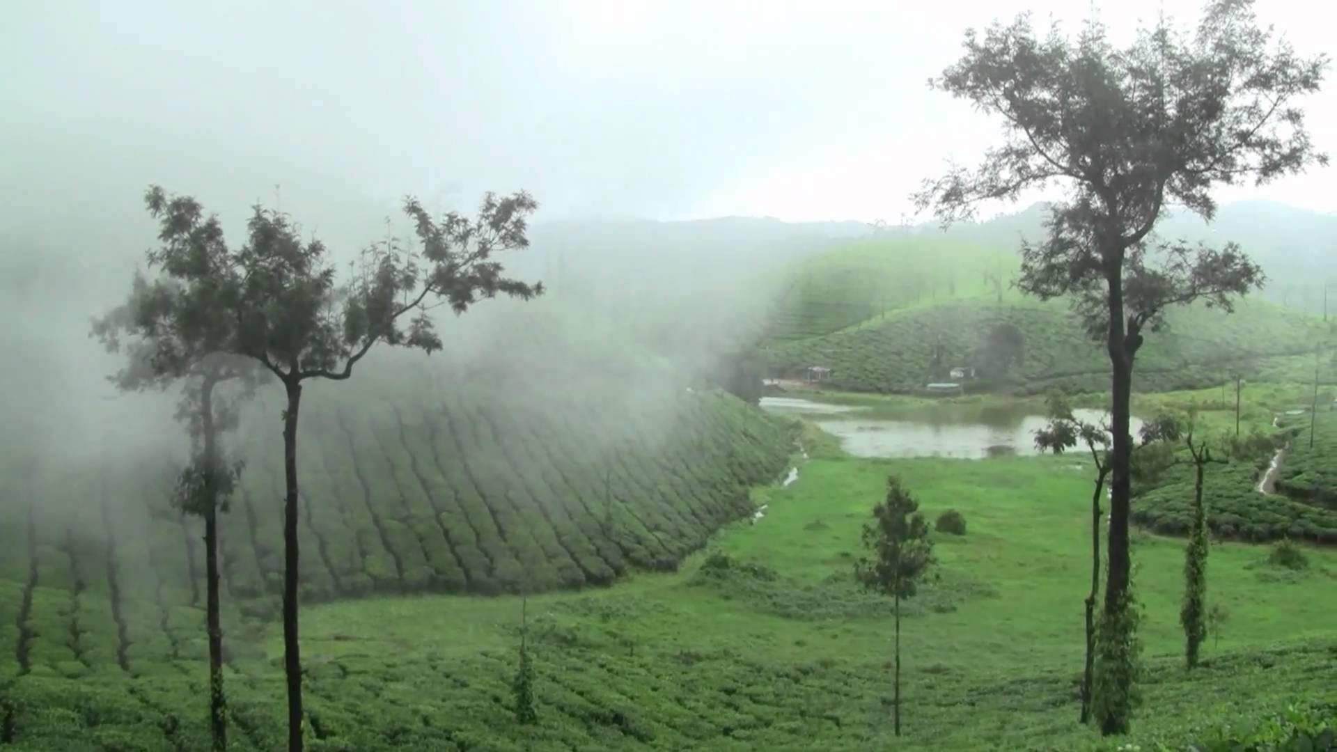 Valparai Wild Resort | Valparai Holiday Home