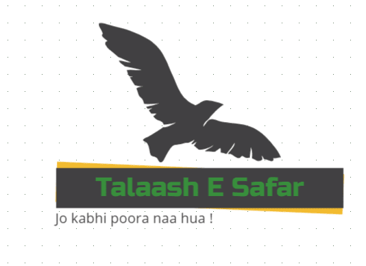 Talaash E Safar