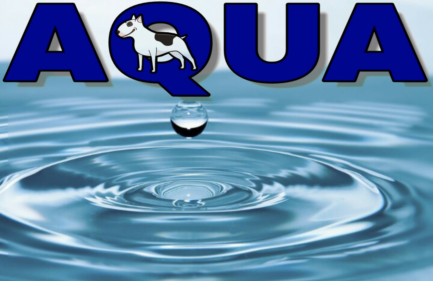 AQUA DAWGS MOBILE POWER WASH LLC.