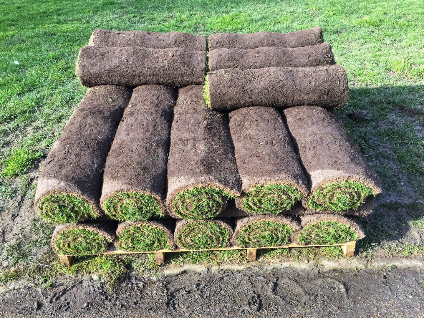 Install Zoysia Sod Lawn Care Restoration Simply Sod Lawn Care
