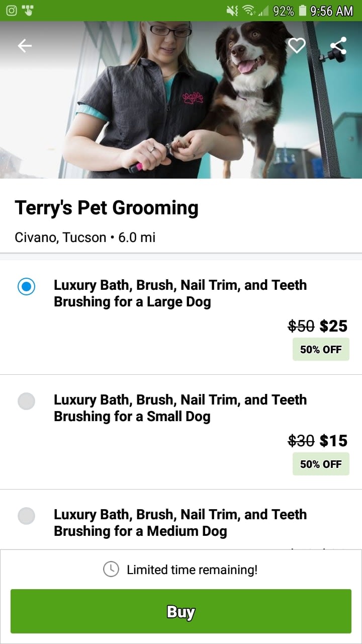 Terry's Pet Grooming