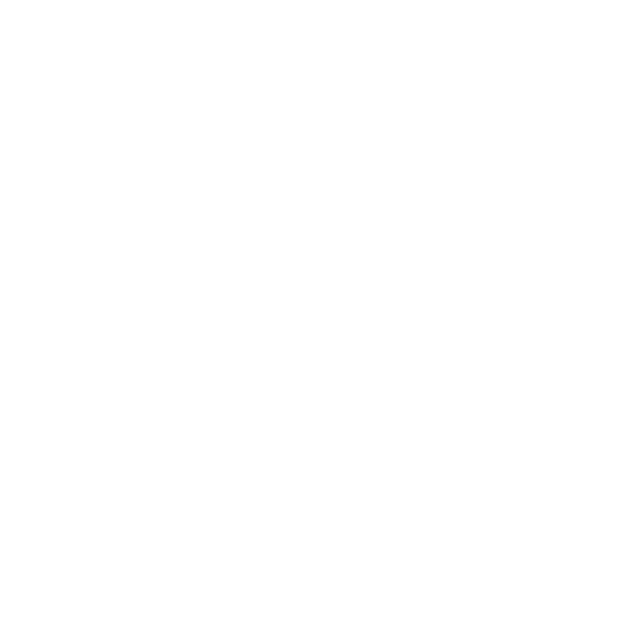 Koruna Cycle & Telecom