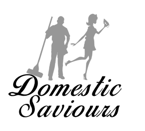 Domestic Saviours