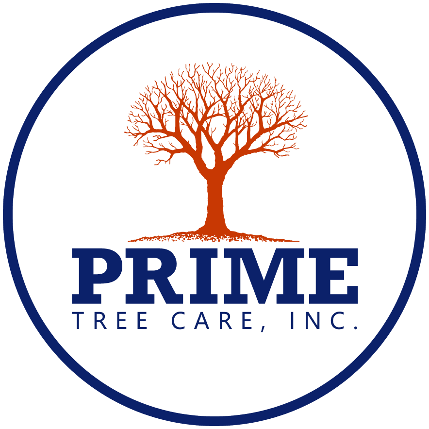 Prime Tree Care, Inc.