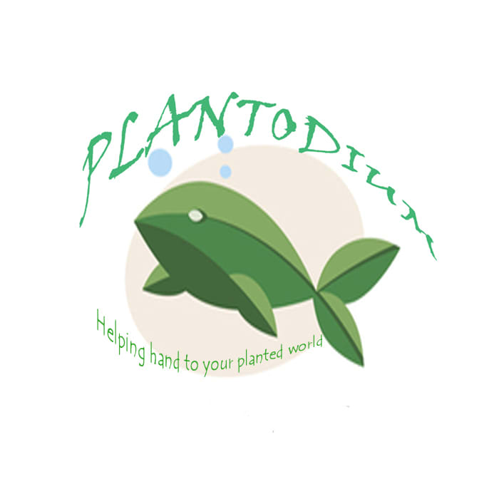 Plantodium